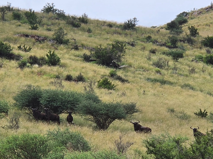 Commercial Property for Sale in Griekwastad Rural Northern Cape